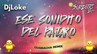 Ese Sonidito Del Pajaro (Guaracha Remix) - Surditto DJ Feat. Dj Loke - [ El Canto Del Bird ]