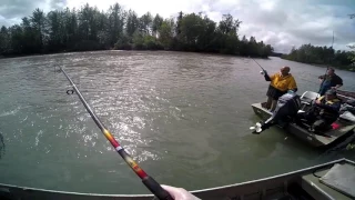 Fireweed Lodge Lake Creek - Wildlachsfischen im Sommer 2015