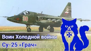 Су-25 Грач - Кампания "Воин Холодной войны" в паре с лётчиком ВКС РФ(ЧАСТЬ 1)(DCS World) | WaffenCat