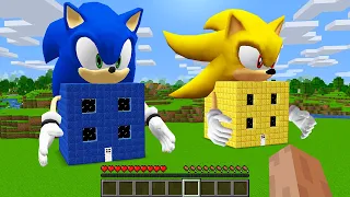 What INSIDE SONIC HOUSE vs SUPER SONIC HOUSE! Sonic the Hedgehog in Minecraft!
