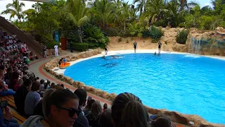 Loro Parque Dolphin Show (2018) (1080p HD)