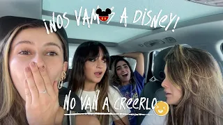 VIAJO A DISNEY con mi novia | VLOG | Juli y Abi | Curioseame