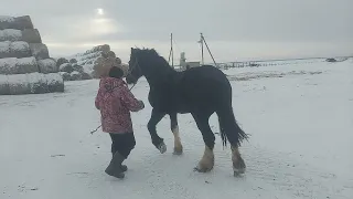 владимеровец 4года