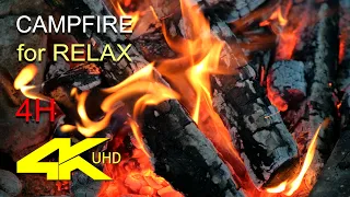 Campfire. Relaxing cracking campfire. 4K 60/FPS.  Расслабляющий костер.