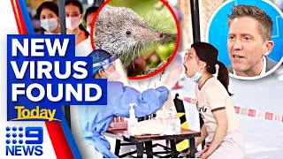 New virus discovered in China, transmitted from animals to people | 9 News Australia