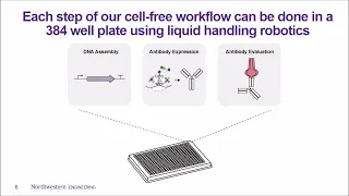 Accelerating Antibody Discovery with Cell Free Protein Synthesis and Automation