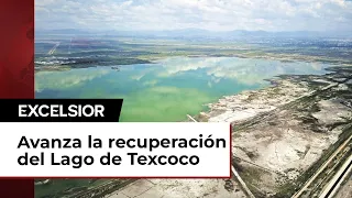 Lago de Texcoco vuelva a cobrar vida