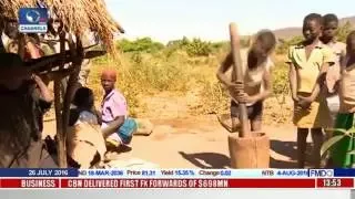 Business Incorporated: Hunger And Malnutrition Rise In Drought Hit Zimbabwe