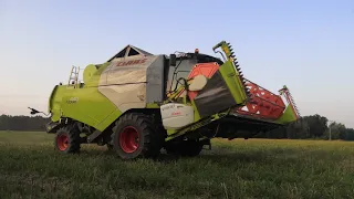 SKLIZEŇ ŘEPKY Z POHLEDU ŘIDIČE//CLAAS TUCANO 440//