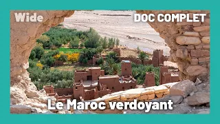 Voyage RAFRAICHISSANT autour du Maroc I WIDE
