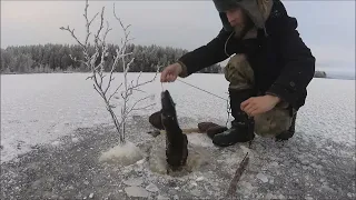 Проверка самоловак Рыбалка