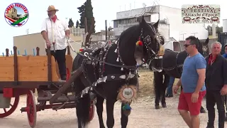 LATIANO - 1° FESTIVAL Attacchi d'Epoca 2018