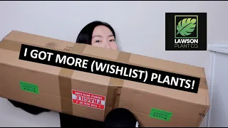 I Got More (Wishlist) Plants! Unboxing a HUGE Mystery Box from Lawson Plant Co.