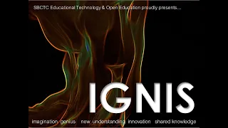 IGNIS Intro 2019 - PowerPoint Me Towards Accessibility! - Amy Rovner and Miranda Levy 05.161.9