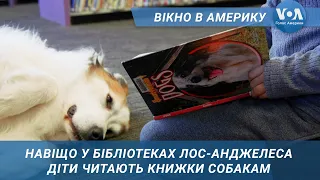 Вікно в Америку.  Навіщо діти читають книжки собакам