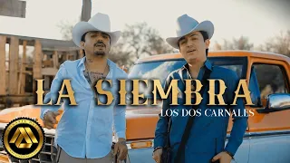 Los Dos Carnales - La Siembra (Video Oficial)