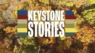 Keystone Stories: The Forest preview