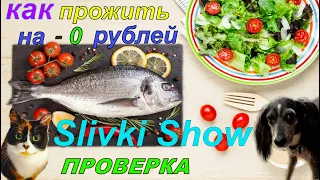 КАК ПРОЖИТЬ ЦЕЛЫЙ ДЕНЬ  НА 0 РУБЛЕЙ как в SlivkiShow