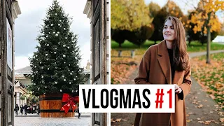 МОЙ ПЕРВЫЙ ИМБИРНЫЙ ДОМИК | VLOGMAS #1