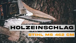 Entspannte Holzernte mit der STIHL MS 462 CM