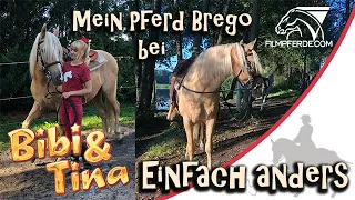 Mein Pferd Brego bei Bibi + Tina 5 - Einfach anders - Making Of