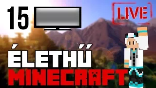 90.000!! ÉPÜL A STÚDIÓ! 🐼 ÉLETHŰ MODOLT Minecraft 15. rész