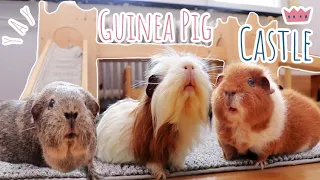 Guinea Pig Floor Time Vlog & A Guinea Pig Castle!