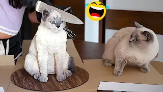 You Laugh You Lose 😁 Funniest Animals 2024 😺🐶 New Funny Cats and Dogs Videos 😹🐶 P7