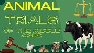 The Animals Put To Court In the Middle Ages - Animal Trials - The Human Mystery