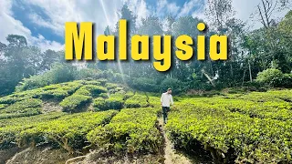 Malaysia 🇲🇾 Travel Guide 2024! Route I Highlights I Kosten