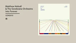 Matthew Halsall, The Gondwana Orchestra - Into Forever (Official Album Video)