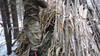 Building a Wickiup Shelter (Day 3)