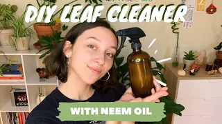 CLEANING HOUSEPLANT LEAVES WITH NEEM OIL | pest prevention for houseplants