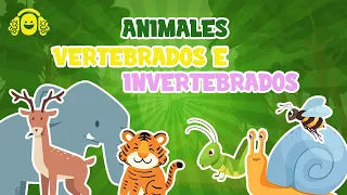 ANIMALES VERTEBRADOS E INVERTEBRADOS para niños.Vídeo educativo para niños