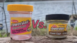 PowerBait Power Eggs Vs. Trout Nuggets! (Bottom Fishing Trout)