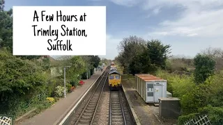 A Few Hours at Trimley Station, Suffolk on the Felixstowe Branch Line