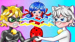 Will Ladybug Choose Catnoir or Cat Blanc | 무당벌레는 캣누아르와 캣 블랑을 선택할 것인가 | 재미있는 스톱 모션 만화 | Annie Korea