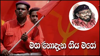 මග නොදැන ගිය මගේ - (Malima Theme Song) |Thathnim Vibration Lab