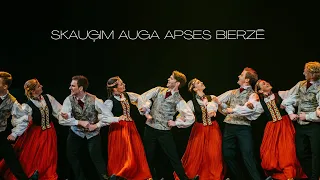 LU TDA Dancis - Skauģim auga apses bierzē