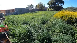 Thick Overgrown Yard Transformed | Satisfying Backyard Cleanup