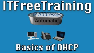 Basics of DHCP
