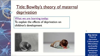 Maternal Deprivation - Attachment