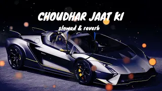 CHOUDHAR JAAT KI ||| NEW PANJABI SONG [SLOWED & REVERB] PANJABI SONG || LOFI MIX