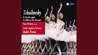 The Nutcracker, Op. 71, Act II: No. 12e, Divertissement. Dance of the Reed-Flutes