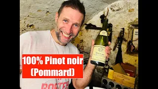 Dégustation vin - Pommard - Pinot noir - Bourgogne - Louis Jadot - Dégustation à l'aveugle