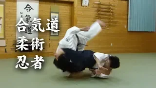 Aikido&Jiu-Jitsu&Ninja techniques - Shirakawa Ryuji shihan