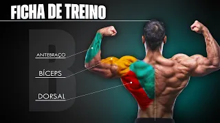 Montando um TREINO B de COSTAS, BÍCEPS E ANTEBRAÇO com TODOS EXERCÍCIOS e Nº DE SÉRIES