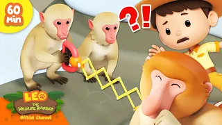 🐵 World of Primeapes! 🦍 Monkey, Gorilla, Orangutan & more! | Leo the Wildlife Ranger | Kids Cartoons