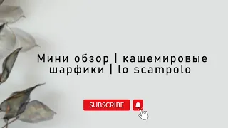 Кашемировые шарфики в LO SCAMPOLO