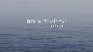 Guided Meditation: Resting in a Sea of Presence, with Tara Brach